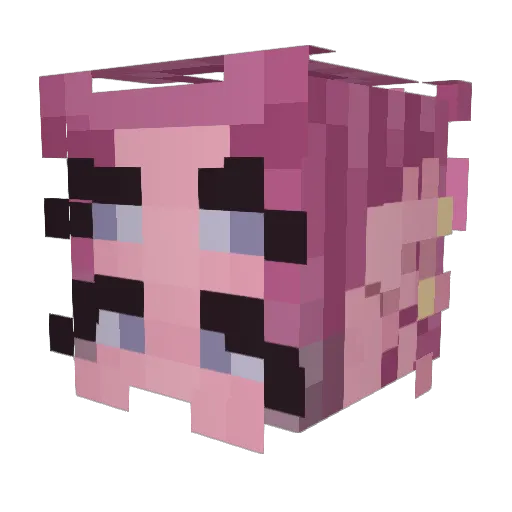 Martuki665 Minecraft avatar head, 3D render
