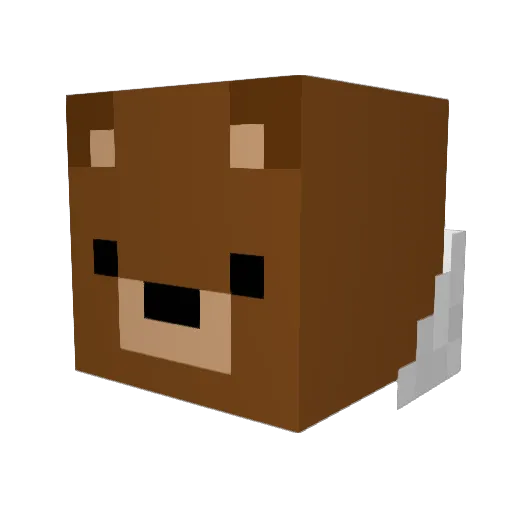 Marty0521 Minecraft avatar head, 3D render