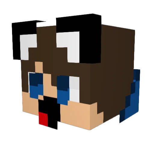 Marty348 Minecraft avatar head, 3D render