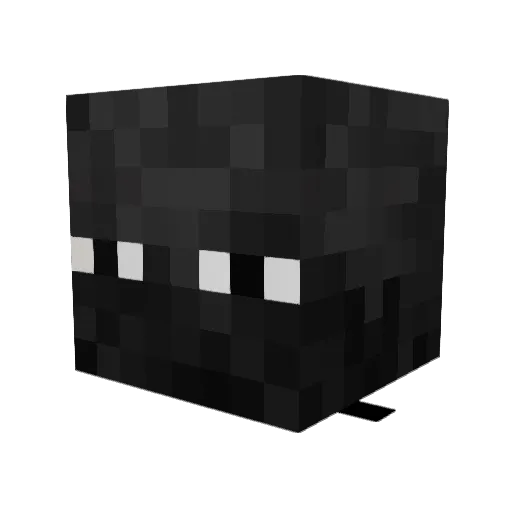 Marty48 Minecraft avatar head, 3D render