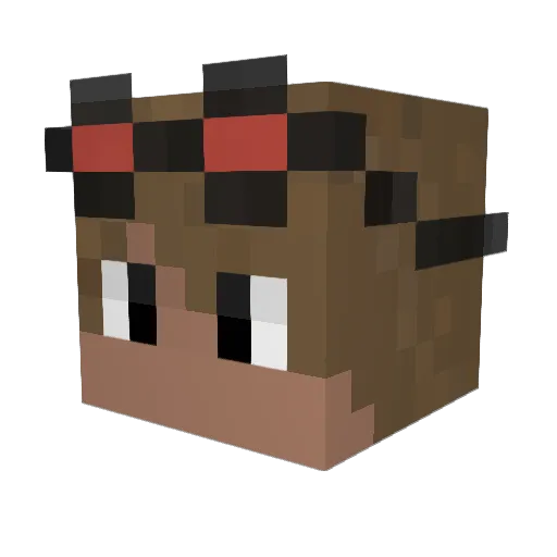 Marty49 Minecraft avatar head, 3D render