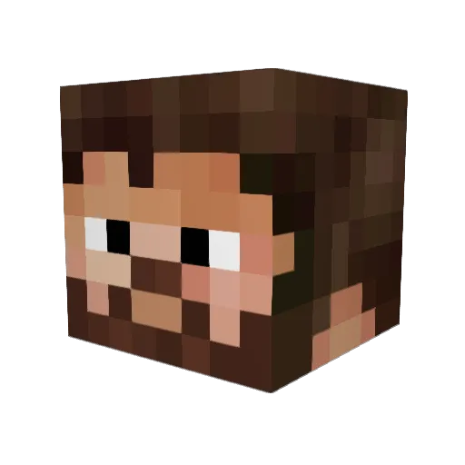 Marty919 Minecraft avatar head, 3D render