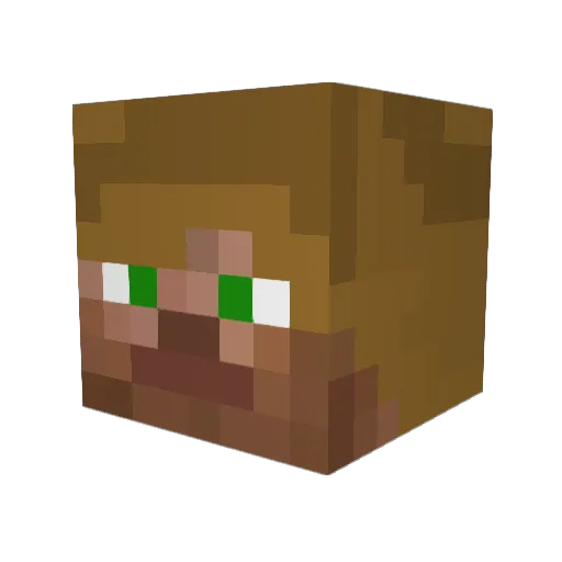 Marty95 Minecraft avatar head, 3D render