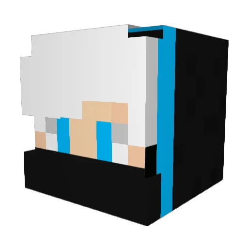 Marty_218 Minecraft avatar head, 3D render