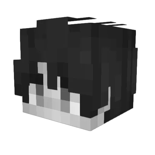 Marty_666 Minecraft avatar head, 3D render