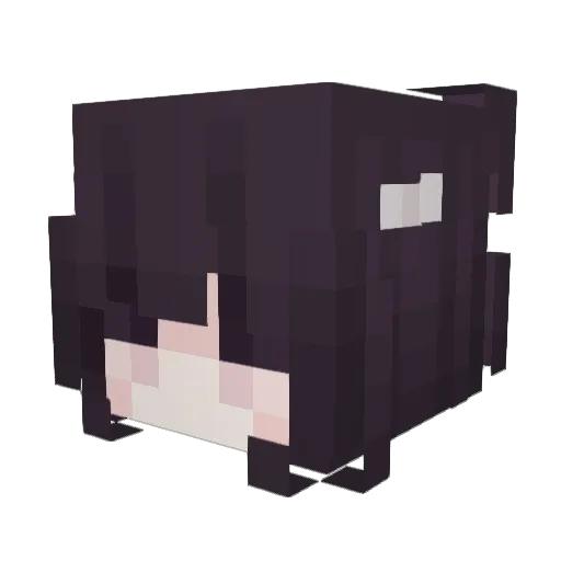 Martyncia Minecraft avatar head, 3D render