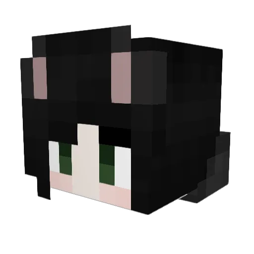 Martys123589 Minecraft avatar head, 3D render