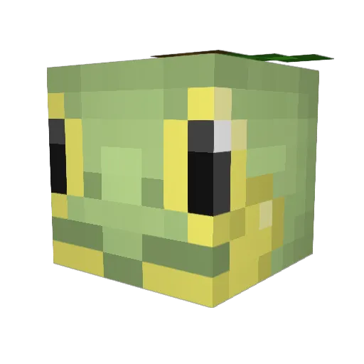 Marubonnn Minecraft avatar head, 3D render