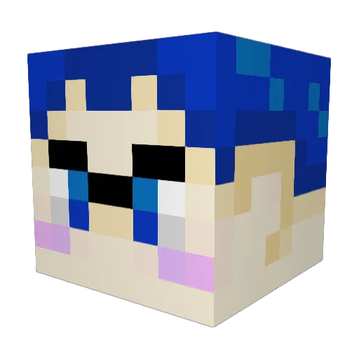MarvelousPaladin Minecraft avatar head, 3D render