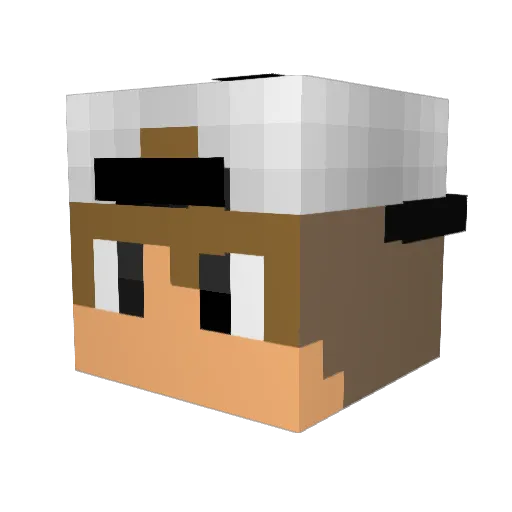 Marvin9X Minecraft avatar head, 3D render
