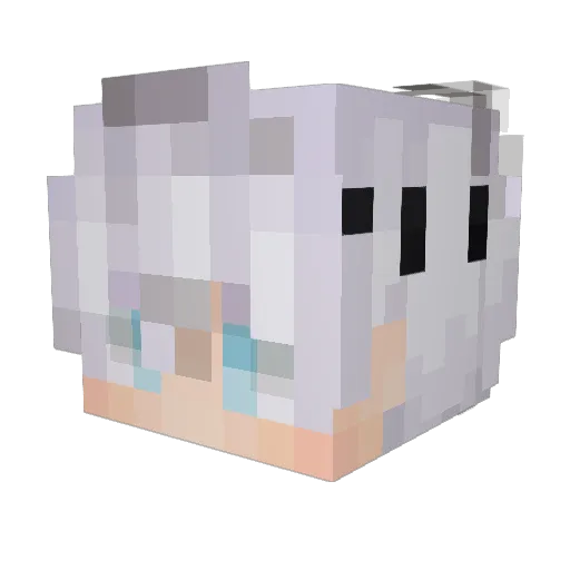 MarvinDaPaldea Minecraft avatar head, 3D render