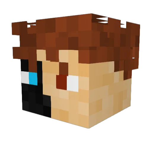 Marx110 Minecraft avatar head, 3D render