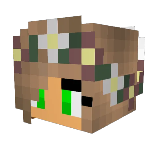 Mary123 Minecraft avatar head, 3D render