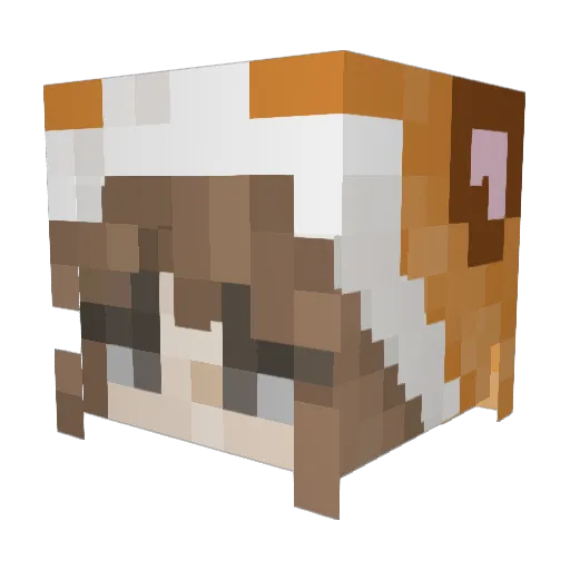 Mary14141 Minecraft avatar head, 3D render