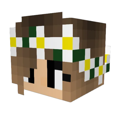 Mary334 Minecraft avatar head, 3D render