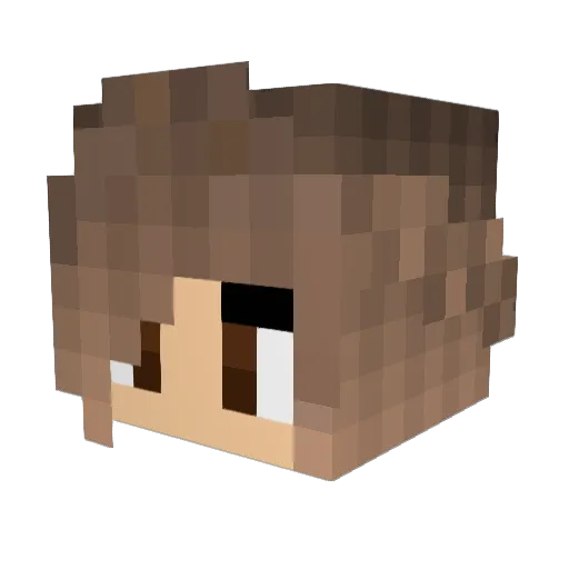 MaryBai2005 Minecraft avatar head, 3D render