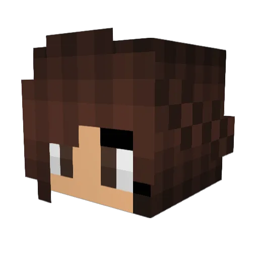 MaryFlippinJane Minecraft avatar head, 3D render