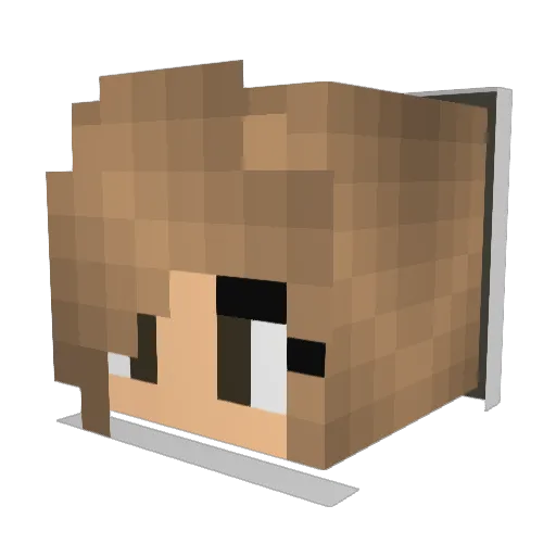 MaryGrace7890 Minecraft avatar head, 3D render