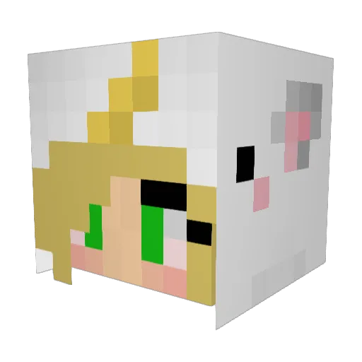 MaryJane531 Minecraft avatar head, 3D render