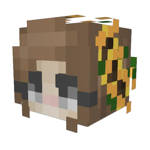 MaryRock Minecraft avatar head, 3D render
