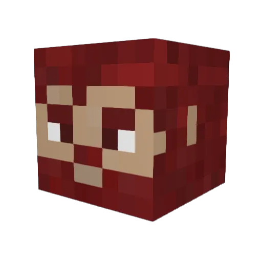MarySue Minecraft avatar head, 3D render
