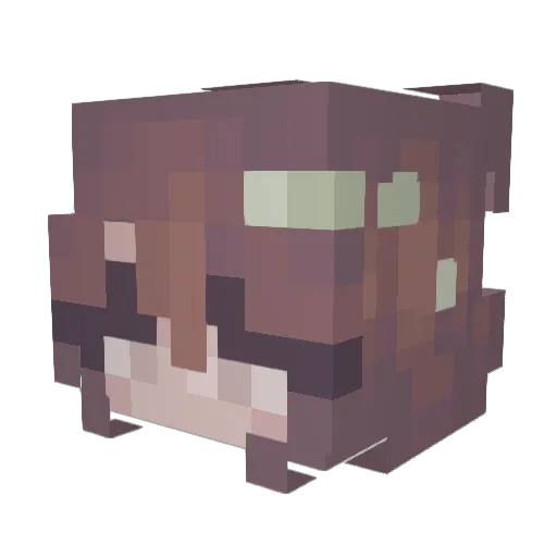 MaryUwU2008 Minecraft avatar head, 3D render