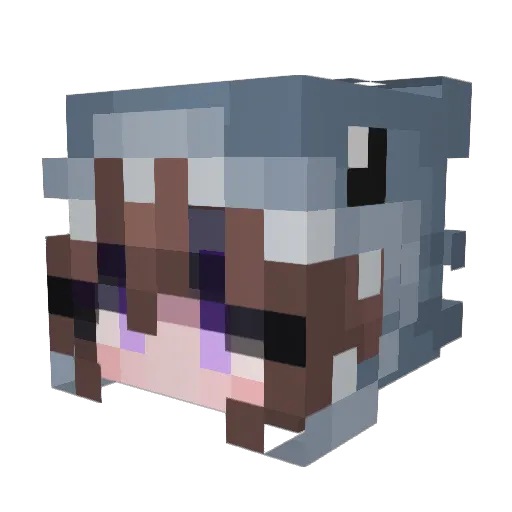 Mary_Pop Minecraft avatar head, 3D render