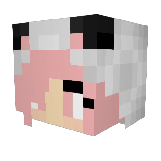 Mary_candy9075 Minecraft avatar head, 3D render