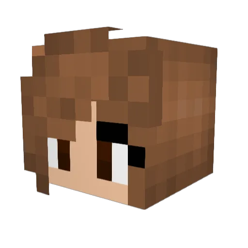 MaryanneLyn Minecraft avatar head, 3D render