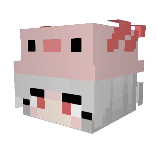 Marylu2810 Minecraft avatar head, 3D render