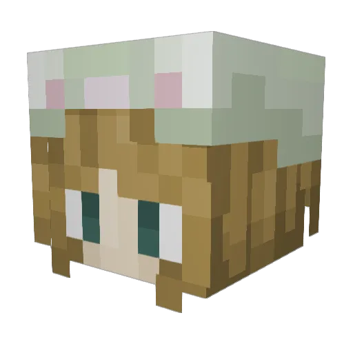 Marymacc Minecraft avatar head, 3D render