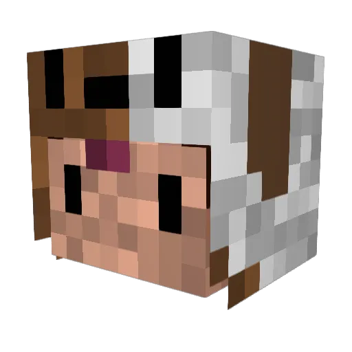 Marysia2506 Minecraft avatar head, 3D render