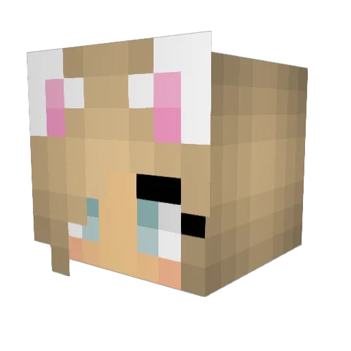Marysiaaa Minecraft avatar head, 3D render