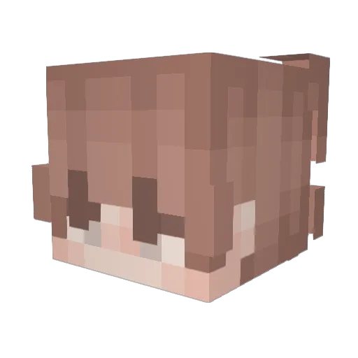 Mas0n_Ha11 Minecraft avatar head, 3D render