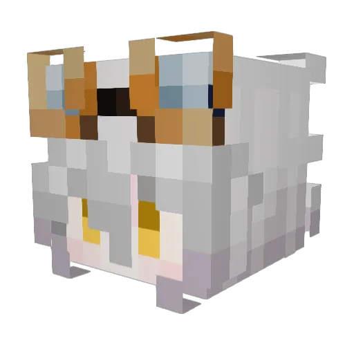 MasJang Minecraft avatar head, 3D render