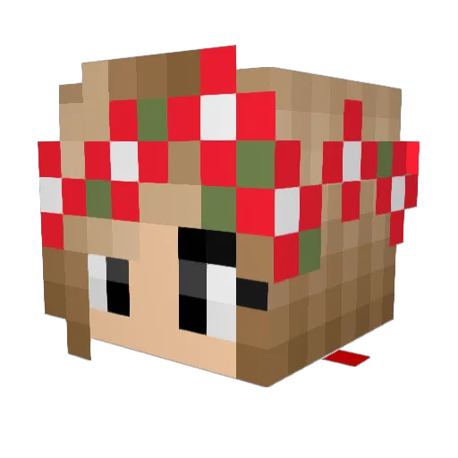 MaseyKat Minecraft avatar head, 3D render