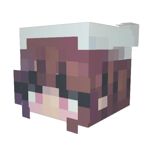 Masfander55 Minecraft avatar head, 3D render