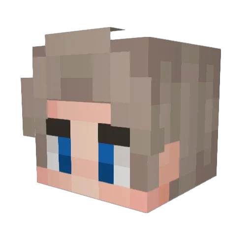 Masfarm Minecraft avatar head, 3D render