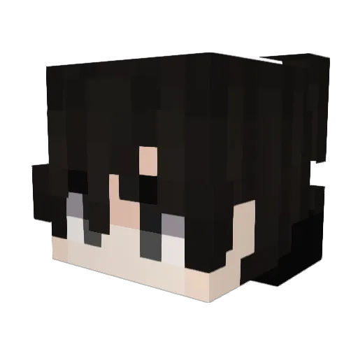 Mask_Penguin Minecraft avatar head, 3D render