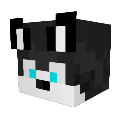 MaskedGamer0 Minecraft avatar head, 3D render
