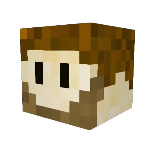 Masomna Minecraft avatar head, 3D render
