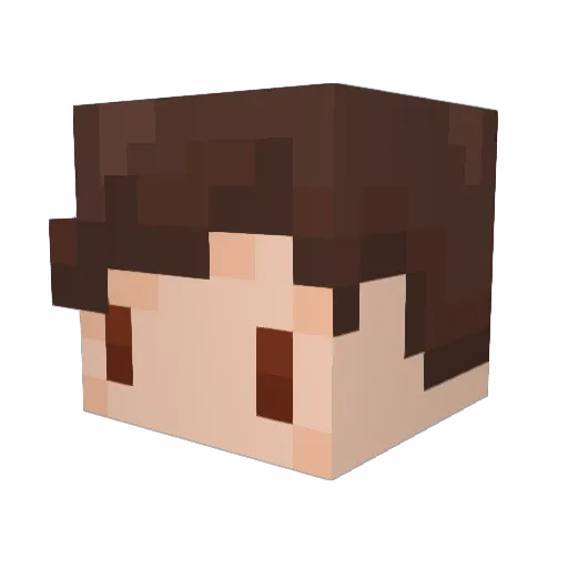 Mason072607 Minecraft avatar head, 3D render