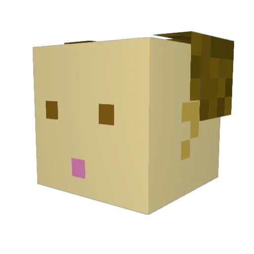 Mason3216 Minecraft avatar head, 3D render
