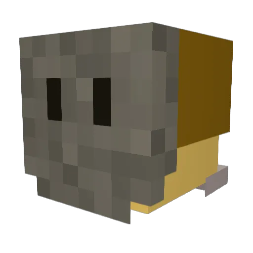 Mason4528 Minecraft avatar head, 3D render
