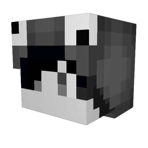 Mason5635 Minecraft avatar head, 3D render
