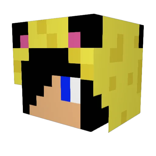 Mason666 Minecraft avatar head, 3D render