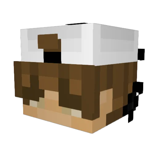 MasonANF Minecraft avatar head, 3D render