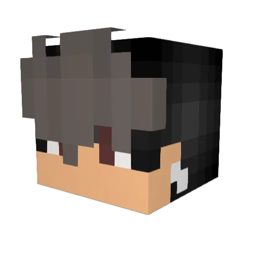 MasonDrew0 Minecraft avatar head, 3D render