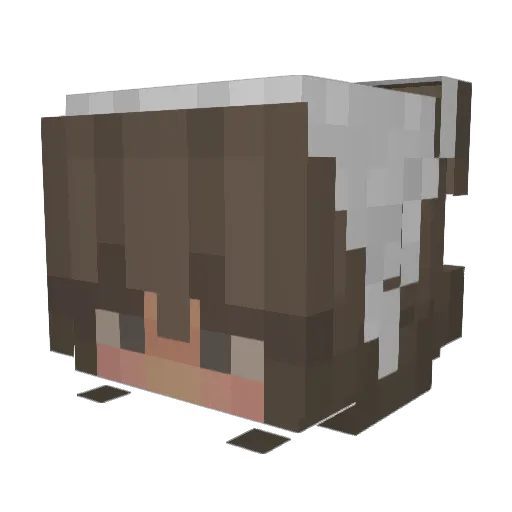MasonGard777 Minecraft avatar head, 3D render
