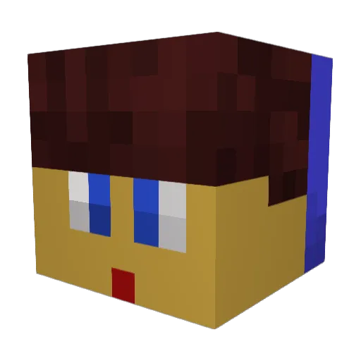 MasonPlays2899 Minecraft avatar head, 3D render